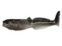 Vinilos Qubi Lures Glowacz 5cm 2g - Natural