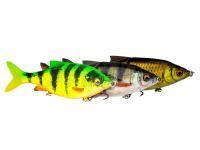 Savage Gear Señuelos 3D Roach Shine Gilder PHP