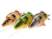 Savage Gear 4D Line Thru Perch