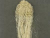 Hedron Big Fly Fiber Curly - Honey