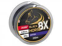 Jaxon Trenzados Black Horse 8X Catfish