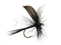 Mosca seca Black Quill no. 20