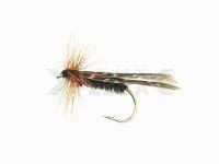 Caddis nr  8