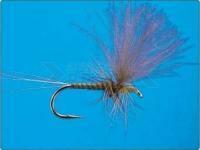 CDC Green Quill no.18