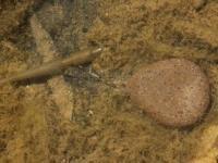 Korda Flat Pear Swivel Lead