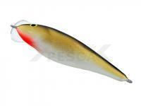 Dorado Dead Fish