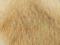 Wapsi Deer Body Hair - 026 Bleached