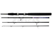 Caña Dega Nordic Seamaster Power Travel 2.10m 80-200g