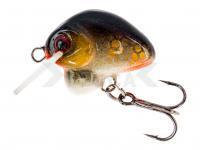 Señuelo HMG Lures Droop Killer 20mm | 3g - 0220302