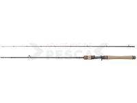 Caña Casting Dragon Flash XC40P LT Cast 18 Fast 1.98m 4-18g