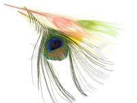 FMFly Peacock Eyes