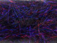 FMFly Peacock Hair - Black/Violet/Red