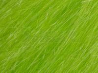 Future Fly Baitfish fibre - Lime Green