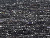 Future Fly Salmo Flash - Black