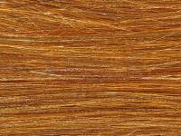 Future Fly Salmo Flash - Cinnamon Brown