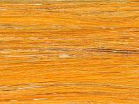 Future Fly Salmo Flash - Orange