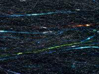 FutureFly Polar Flash - Black