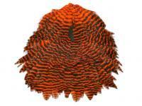 FutureFly Signature Hen Saddle - Orange Grizzly