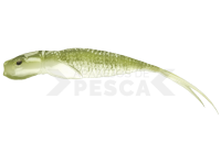 Vinilos Qubi Lures Syrena Vert 25cm 65g - Oliv