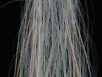 H2O Gliss n Glow - 05 Mother of Pearl (MOP)