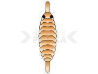 Hemingway`s Gammarus back - Orange