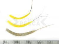 Hemingway's Mayfly Tube Bodies