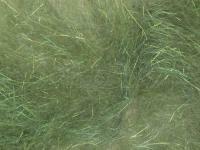 Hemingway`s Peacock Dubbing - 01 Green