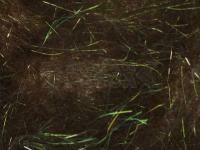 Hemingway`s Peacock Dubbing - 02 Bronze