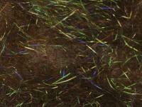 Hemingway`s Peacock Dubbing - 09 UV Bronze