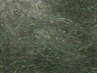 Hemingway`s Peacock Dubbing - 11 Dark Olive