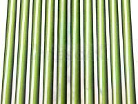 Hemingways Synthetic Tapered Peacock Quill - Holo Green