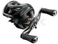 Carrete multipilcadore Daiwa 24 Steez SV TW 100XHL