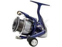 Daiwa 24 TDR Match & Feeder *