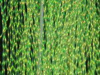 Krystal Flash - Fl. Chartreuse