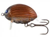 Señuelo Salmo Lil`Bug BG2F - May Bug