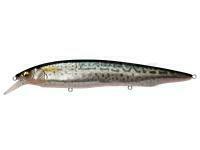 Señuelo Megabass Kanata SW 160mm 31g - FA SABA