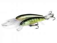 Salmo Minnow