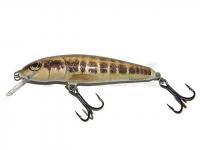 Señuelo Salmo Minnow M7S - Minnow