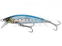 Señuelo Mar Savage Gear Gravity Minnow 5cm 4.3g Sinking - Ghost Sardine PHP