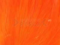 Neck Hackle Strung - orange