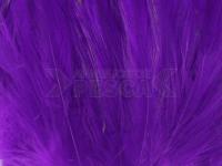 Neck Hackle Strung - purple