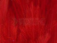 Neck Hackle Strung - red