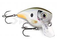 !Novedades de Rapala, Illex, Gunki, Preston, Jaxon!