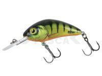 Señuelo Salmo Salmo Hornet Rattlin 5.5cm 10g F - Hot Perch