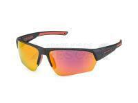 Solano Polarized Sunglasses FL 20079