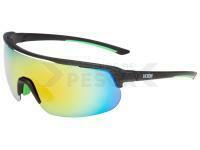 Polarized Sunglasses Jaxon - X66SML