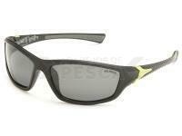 Gafas Polarizadas Solano FL 20056B
