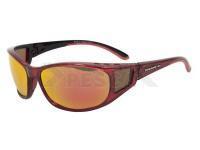 Gafas Polarizadas Solano FL20048F