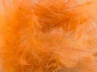 Plumas FMFly Goose CDC 1G - Dyed Orange Insect