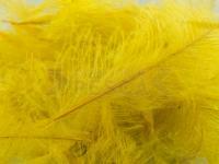 Plumas FMFly Goose CDC 1G - Dyed Pale Olive